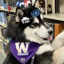 UW Poli Sci Club (Pi Sigma Alpha Nu)
