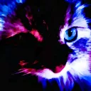 Dark - Tik { Server }