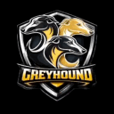 GREYHOUND™ | No wipe x25