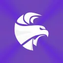 EagleVision Network