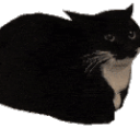 Discord Icon