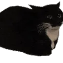 NewHag’s Config Server