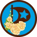 Tejas Pirates