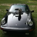 Wichita Street Fleet Discord Server Icon