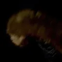 Nuh's server