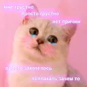 sadkittycat