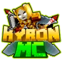 HyronMC Network