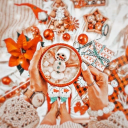 The Holiday Haven