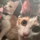  𝕎ｅ ｕƤ Ｉ𝓷 𝕝𝔦𝕗𝕖  Discord Server Icon