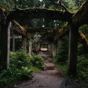 Žabí-survival Discord Server Icon