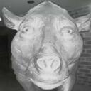 The Fatheads Discord Server Icon