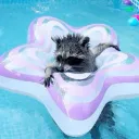  | system serv. Discord Server Icon