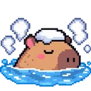 Capybara Community