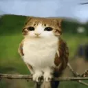 currently revamping // social ... Discord Server Icon