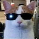 ▄▀▄🄻🄾🅂🄴🅁 🄲🄻🅄🄱▀▄▀