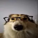 Arepera el rukuku discord icon