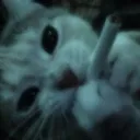 {~уютный уголок~}>>