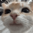 Chats Discord Server Icon