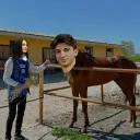 Şerefsizlik Kurulu