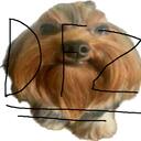 Da Fellaz Discord Server Icon