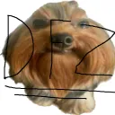 Da Fellaz Discord Server Icon