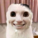 밤 고양이 Discord server icon