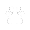 LE MEW