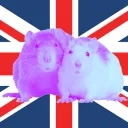 British Rats discord icon