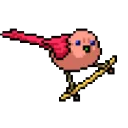 SFJ: Homie Hub's icon