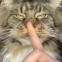 wheels cartel Discord Server Icon