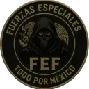 𝐅𝐔𝐄𝐑𝐙𝐀𝐒 𝐄𝐒𝐏𝐄𝐂𝐈𝐀𝐋𝐄𝐒 𝐅𝐀𝐍𝐓𝐀𝐒𝐍𝐀 ( 𝐅𝐄𝐅 )