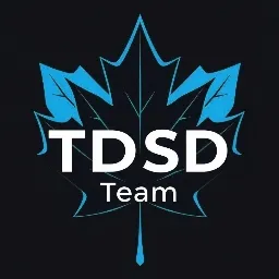 TDSD | Team — мониторинг Discord сервера, статистика и рейтинг