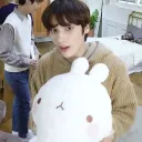 ✧            🐰  ﹒             /nefeli