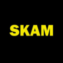⤿ ⭑ Skam verse .ᐟ Discord server icon