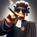 The Supreme Court of Max_Cool