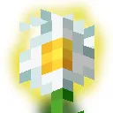 Daisy SMP