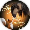 Furious Foxes OS Discord Server Icon