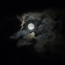 light Discord Server Icon