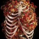  Corpse Garden  Discord Server Icon