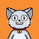 Bitcoin Cats