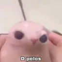 el club del sebas