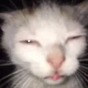 flicker Discord Server Icon