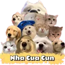 Nha Cua Cun