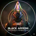 BLACK ARROW | STAR CITIZEN