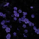 inception Discord Server Icon