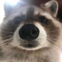 Chaotic Minds Discord Server Icon