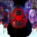   The Spider Society   Discord Server Icon