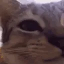 Silly People ya's icon