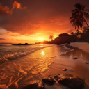 Blissful Bay