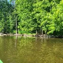 The Frogg Pond